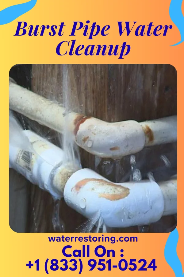 Burst Pipe Water Cleanup in Oxford, OH