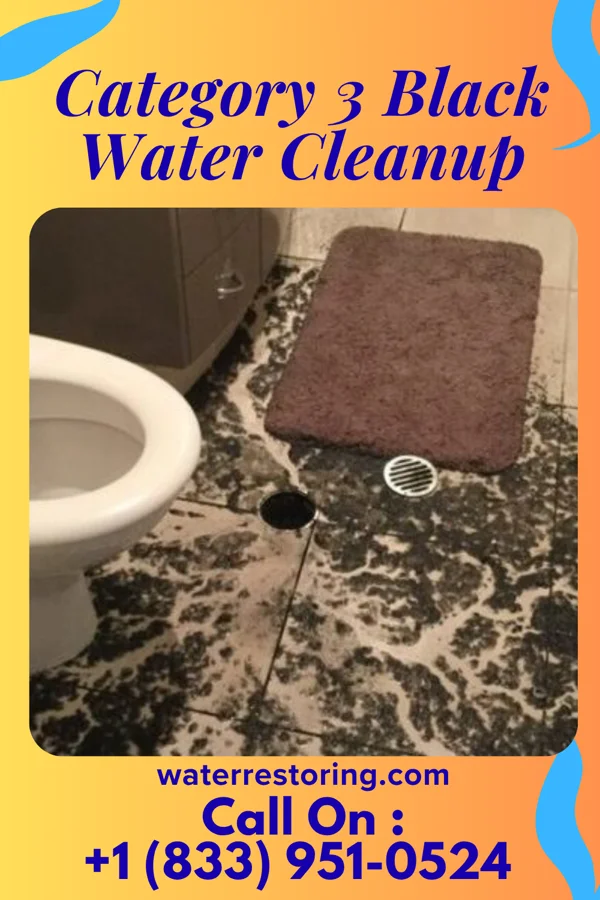 Category 3 Black Water Cleanup in Oxford, OH