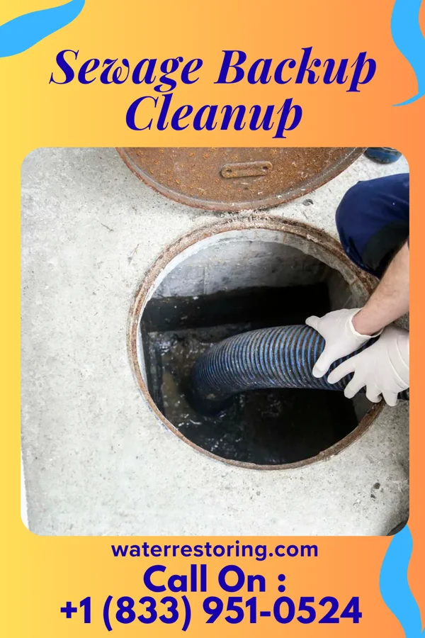 Sewage Backup Cleanup in Oxford, OH